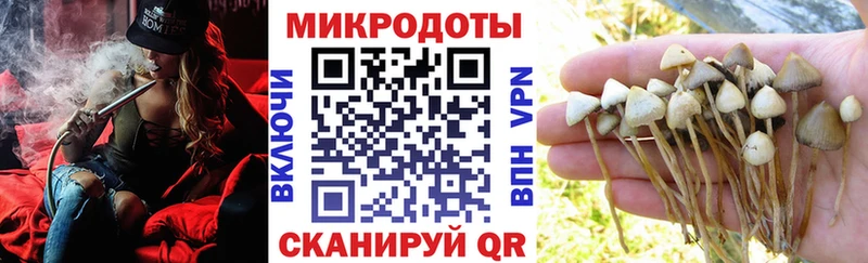 omg сайт  Наро-Фоминск  Галлюциногенные грибы мухоморы 